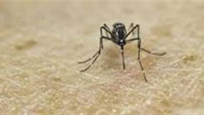 اليابان تحذر مواطنيها المسافرين إلى البرازيل من فيروس