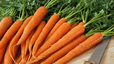 اكتشاف فوائد جديدة في الجزر تحمي من أمراض الشيخوخة