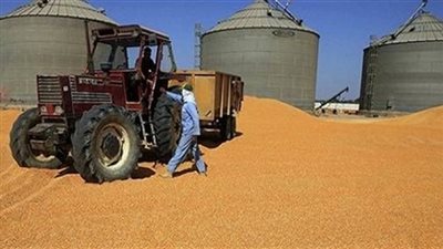 مفاجأة.. تورط مسئول كبير في «قضية القمح».. وتعديل وزاري في حكومة 