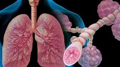 للمدخنين.. 4 أعشاب فعالة لتنظيف الرئة