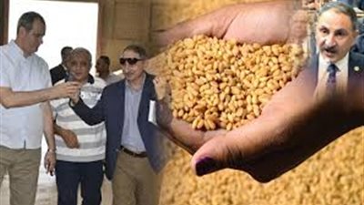 مجدي ملك: 532 مليون جنيه فساد في 10 