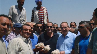 محافظ بني سويف: زيادة أصناف النباتات الطبية والعطرية بالمحافظة بمساعدة وزارة الزراعة