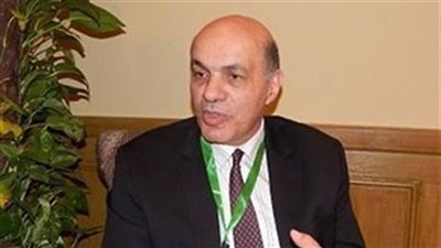 حافظ سلماوي: الحكومة ستتجه لتغيير العدادات مسبوقة الدفع قريبًا