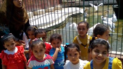 إقبال ملحوظ على حديقة الحيوان بالزقايق في ثالث أيام عيد الأضحى