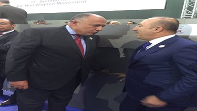 أول لقاء بين وزيري خارجية مصر وتركيا بعد عزل مرسي 