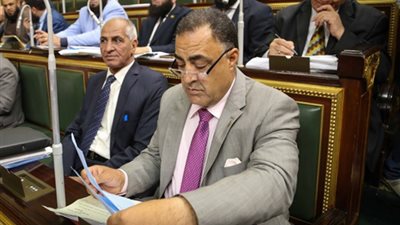 عشرات الدعاوى أمام النائب العام تطالب بإسقاط 