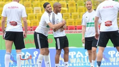 الجزائر تفقد جهود