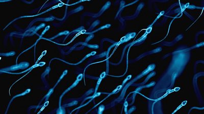 مطعم في لندن يقدم وجباته من السائل المنوي لزبائنه!