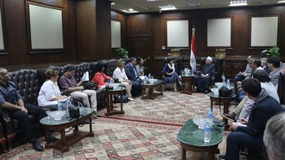 مفتي الجمهورية لوفد «الشيوخ الفرنسي»: الإسلام لا علاقة له بالإرهاب