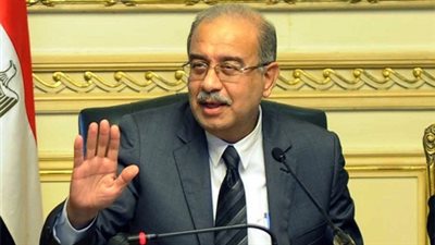 بالفيديو.. برلماني: 