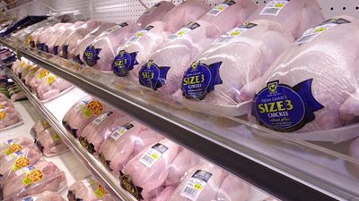 «ديلي ميل»: دجاج المتاجر البريطانية مصابة بـ«بكتيريا القولون» وتسبب الوفاة