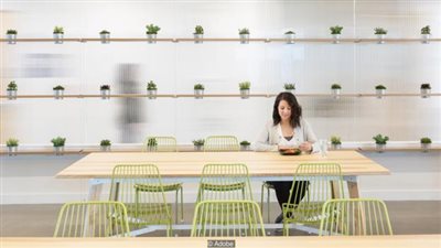 المناظر الطبيعية في مقر العمل تساعد على زيادة الإنتاج