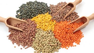 نادر نور الدين: 