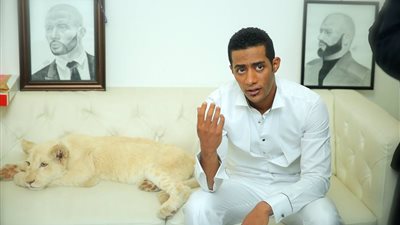 بالفيديو.. وصلة رقص لـ«الأسطورة» مع أسد حقيقي في «أهلا رمضان»