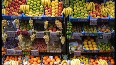 فكهاني منشأة القناطر متعاطي لـ