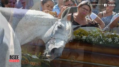بالصور والفيديو.. حصان ينهار في جنازة مالكه ويُبكي المشيعين