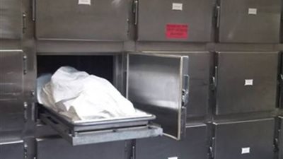 مصرع طفلة على يد شقيقها بعد محاولة التحرش بها في أرض اللواء