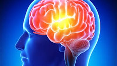 أبرزها انقطاع الدورة الشهرية.. 5 عوامل تضعف الذاكرة