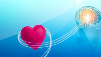 دراسة جديدة تكشف العلاقة المذهلة بين القلب والعقل!