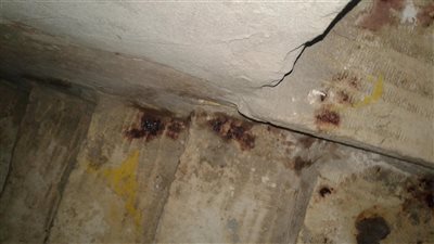 تجديد حبس سيدة بالمعادي قتلت زوجها بسبب الخيانة