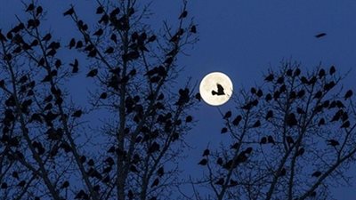 حل لغز النوم فى كازخستان