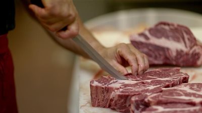 حقيقة تورط الحكومة في استيراد لحوم فاسدة من البرازيل