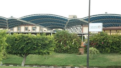 عرض سعودي لرعاية نادى مصري بـ 125 مليون جنيه 