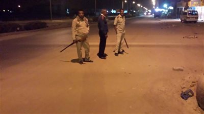 إعدام 92 كلب ضال ببني سويف