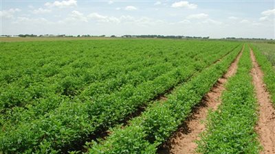 قرار هام من شركة 