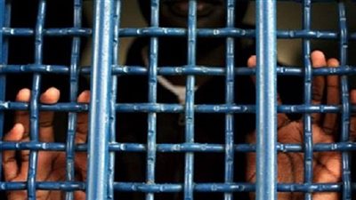 رحلة تحول تامر من 