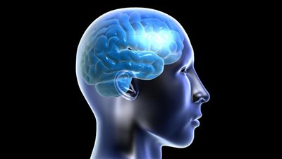 هذا ما يحدث للدماغ عند الحرمان من النوم!