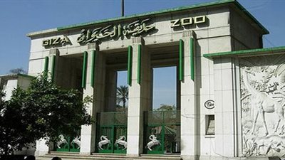 بالفيديو.. تفاصيل حريق حديقة الحيوان بالجيزة