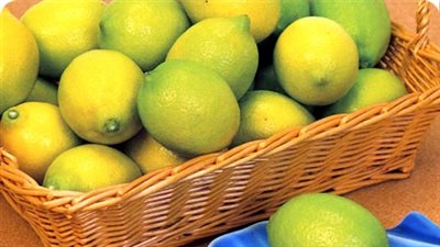 الليمون أغلى من التفاح في الإسماعيلية.. وهذا هو السبب