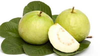 أوراق الجوافة لتطويل الشعر وتنعيمه خلال أسبوع