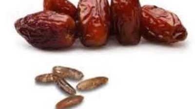 7 فوائد هامة لـ«التمر».. تعرف عليها