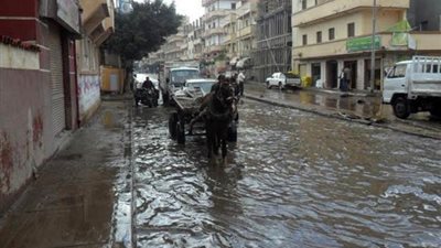 تساقط أمطار غزيرة على محافظة الغربية