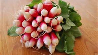 5 فوائد لـ«زيت الفجل» في علاج الشعر.. تعرفي عليها