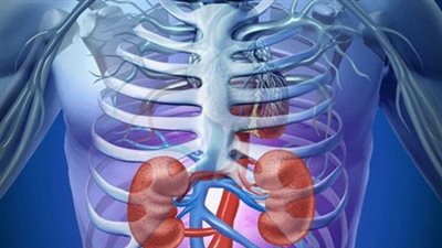 تحذير.. هذه الأدوية تضعف من كفاءة الكلى تعرف عليها