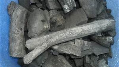 الفحم النباتى الحل الأمثل لعلاج تساقط الشعر