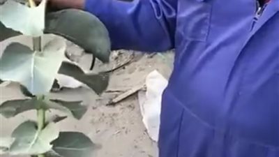 تحذير هام لمرضى السكر.. اعرف التفاصيل