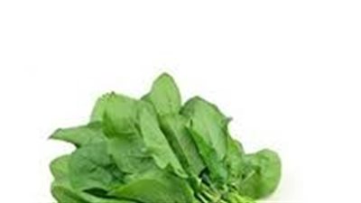 أطعمة هامة تحميك من «الزهايمر»