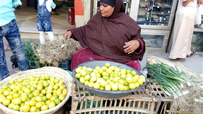 ارتفاع أسعار الليمون والبصل في الفيوم تزامنًا مع «شم النسيم»
