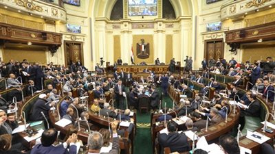 طلب إحاطة بشأن وقائع إهدار مال عام لبعثة مصر بأولمبياد البرازيل