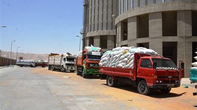 محافظ سوهاج: توريد 19 ألفًا و394 طن أقماح لشون وصوامع المحافظة