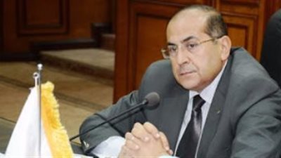 بالصور.. «بعد حصر الخسائر في حريق الحرجة بالبلينا»: محافظ سوهاج يصدر «بيانا عاجلا»