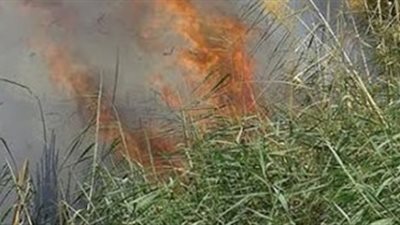 السيطرة علي حريق محدود بشريط سكة حديد بني مزار