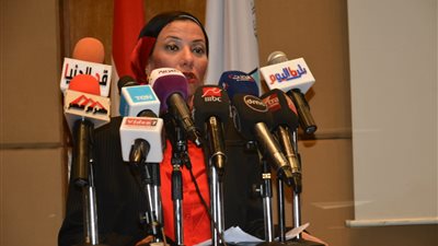 تفاصيل خطة وزارة البيئة للتخلص من قش الأرز 