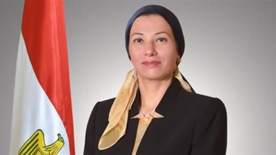 «البيئة» تدعم كفر الشيخ بـ63 مليون جنيه.. لهذا الغرض 