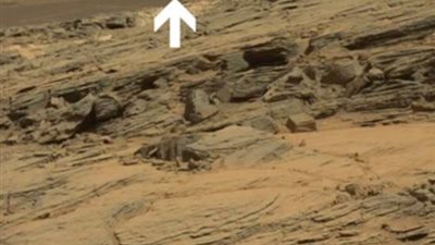 مخلوقات فضائية علي المريخ