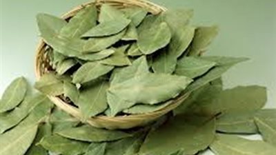 5 فوائد صحية لأوراق الغار